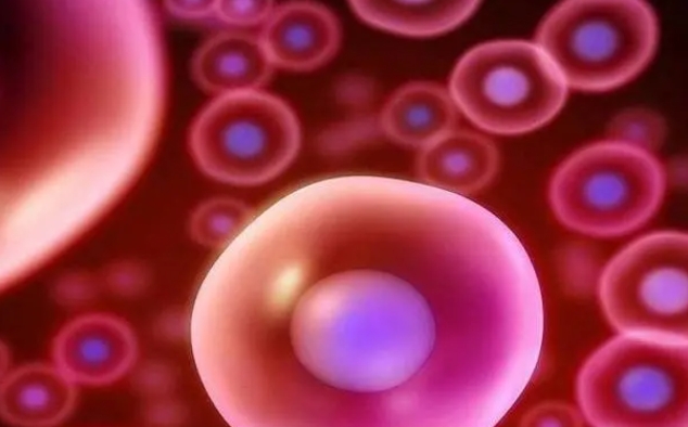 近親結(jié)婚人群可以做三代試管生孩子嗎？