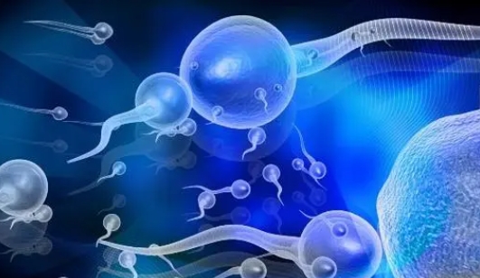 高齡做試管鮮胚不著床的解決方法是什么？