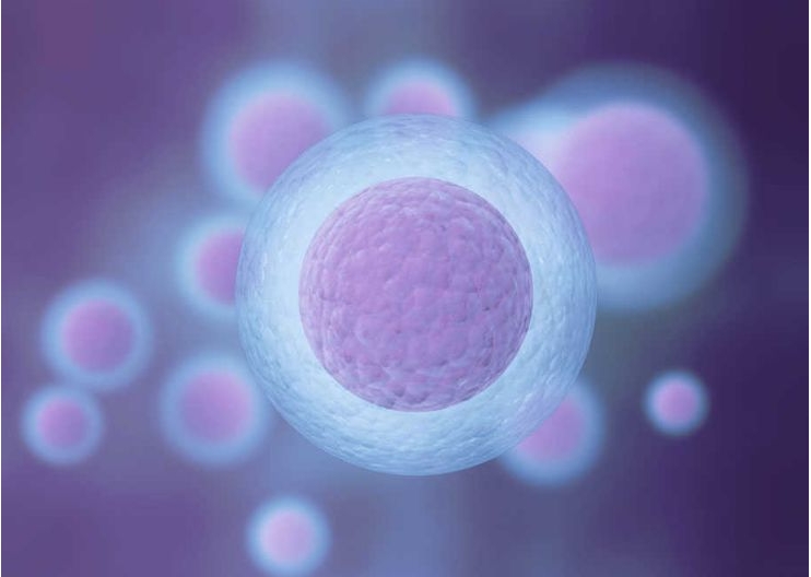 在國(guó)內(nèi)做三代試管嬰兒需要花費(fèi)多少錢？