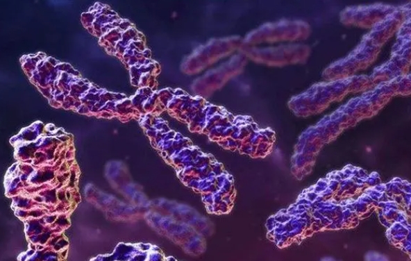 做試管嬰兒時(shí)醫(yī)院會(huì)給開請(qǐng)假證明嗎？