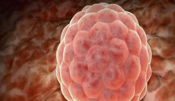 經(jīng)常跳繩可以提高女性的卵巢功能嗎？