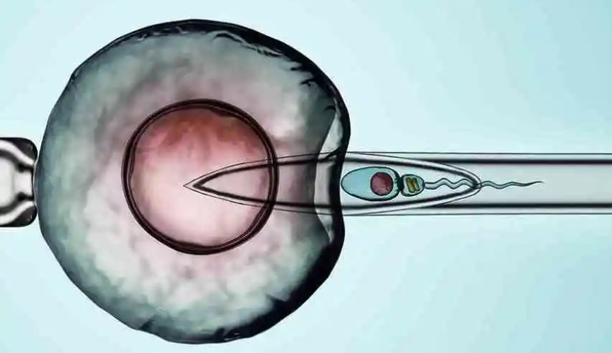 做試管嬰兒胚胎發(fā)育慢還能成功嗎？