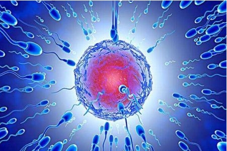 試管鮮胚移植后長期臥床有什么作用？對hcg值翻倍有影響嗎？