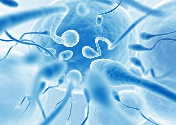 做試管嬰兒總共需要花費多長時間？