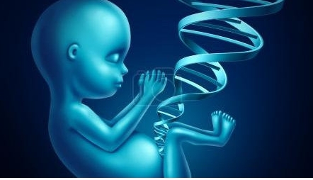 北京三代試管嬰兒成功率是多少？