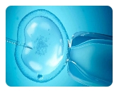 黃體功能不足做試管移植怎么安排時(shí)間？什么時(shí)候移植比較好？