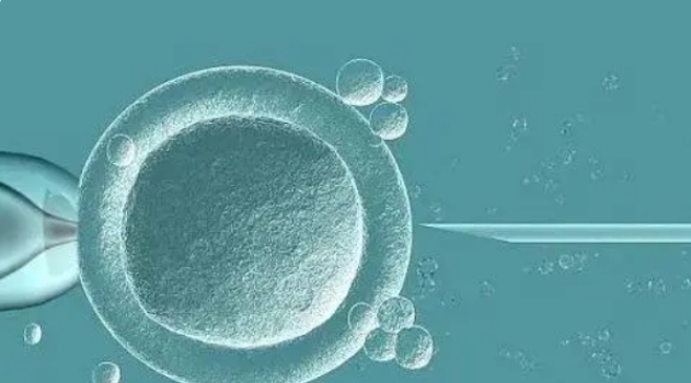  高齡做試管嬰兒怎么才能提高著床率？