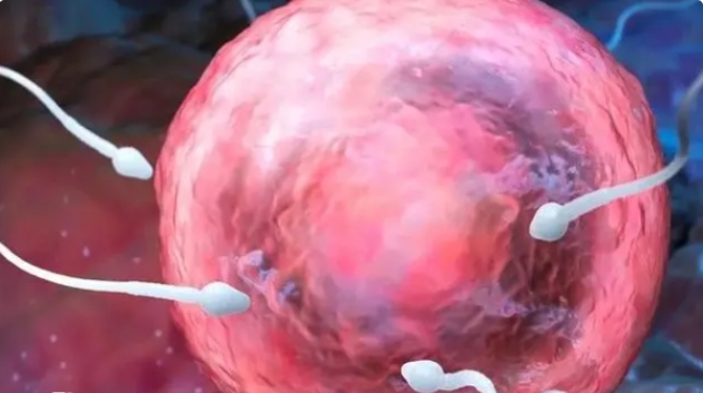 高齡做試管嬰兒有哪些注意事項？是不是必須做三代？