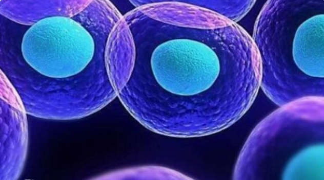 高齡一次試管成功的費用估計需要多少錢？