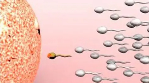 高齡做試管嬰兒移植怎么提高著床率？