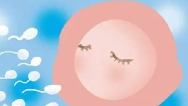 高齡做試管嬰兒的話應(yīng)該怎么選擇醫(yī)院呢？