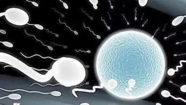 在泰國做試管嬰兒一定要結(jié)婚證才行嗎？