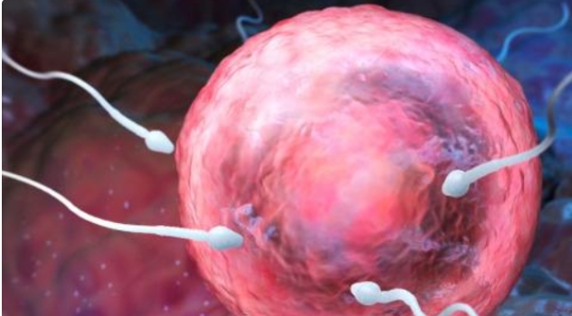 高齡去泰國做試管嬰兒選擇醫(yī)院上有哪些要注意的？