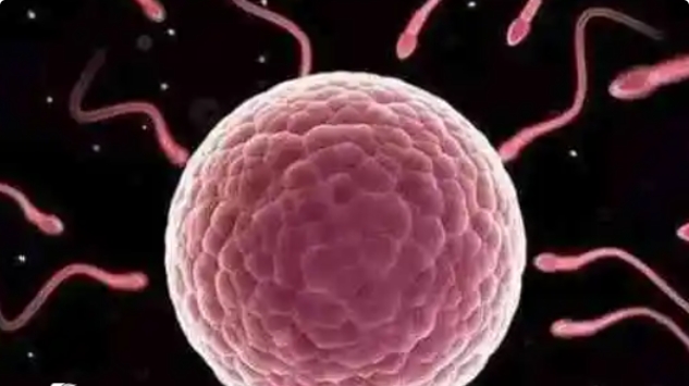 高齡做試管嬰兒一般要做哪些必要的檢查呢？