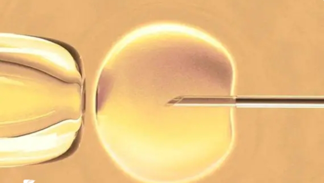 高齡做試管嬰兒養(yǎng)卵要養(yǎng)多久才能**？