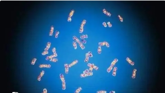 泰國哪家私立醫(yī)院做試管嬰兒的技術(shù)比較好？