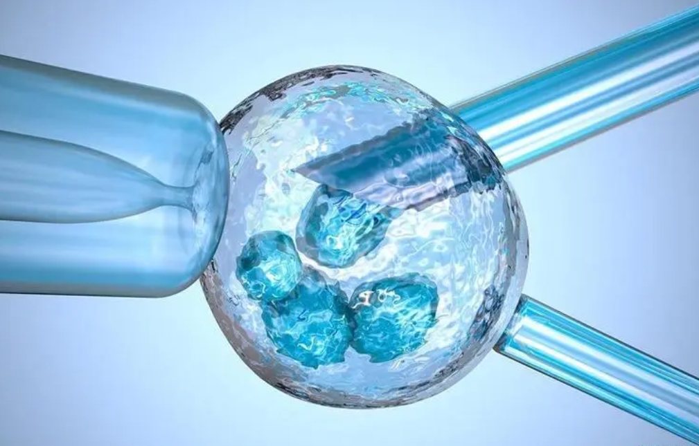 試管多次失敗讓查免疫，應(yīng)該去查哪些地方？