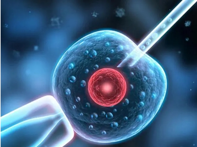 40歲高齡做試管是不是只能做三代試管？