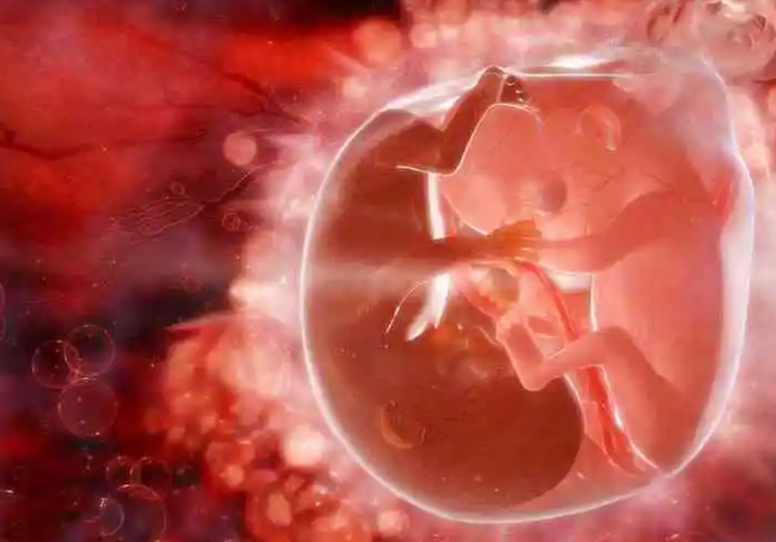 做試管嬰兒可以同時服用西藥和中藥嗎？