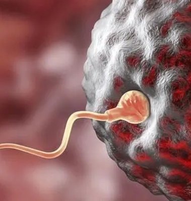 做試管嬰兒的風(fēng)險和副作用傷身體嗎？