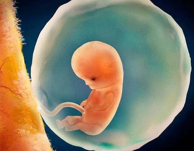 二代試管嬰兒做羊穿有什么用？