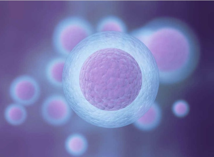 做試管嬰兒要準備什么？哪些證件是必須的？