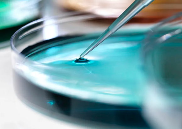 干細胞保持多久有效果附注意事項(圖1) image.png