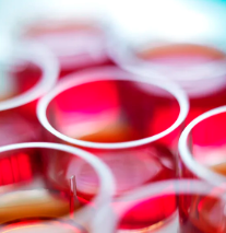 干細(xì)胞療法進(jìn)展如何？已進(jìn)入哪一期研究？