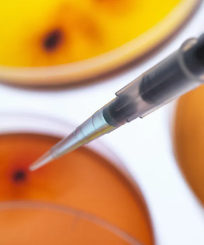 2016年干細(xì)胞治療糖尿病效果如何？如何選擇最佳治療方案？