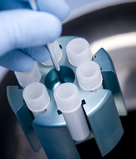 東北制藥在干細(xì)胞研究領(lǐng)域有哪些突破？