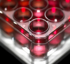 哪家醫(yī)院在干細胞再生技術方面排名領先？