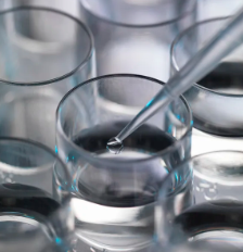 干細(xì)胞研究如何突破？造血干細(xì)胞應(yīng)用前景有哪些？