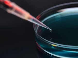 武威哪家干細(xì)胞捐贈(zèng)機(jī)構(gòu)值得信賴(lài)？有何評(píng)價(jià)？