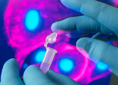 胚胎干細胞研發(fā)過程有哪些難點？前景如何？