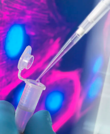 蝸米干細胞抗衰技術(shù)靠譜嗎？有哪些效果？