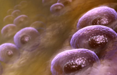 哪些醫(yī)院在研究干細(xì)胞治療腎病？費(fèi)用如何？