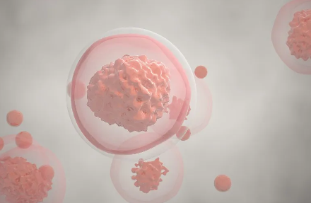 如何判斷干細(xì)胞醫(yī)院是否合法？有何標(biāo)準(zhǔn)？