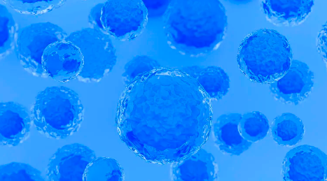 干細胞治療自閉癥有效果嗎？家長應(yīng)注意哪些？