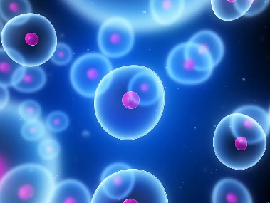 干細(xì)胞真的是造血干細(xì)胞嗎？其作用有哪些？