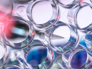 儲(chǔ)存干細(xì)胞哪個(gè)機(jī)構(gòu)好？哪家服務(wù)質(zhì)量更高？