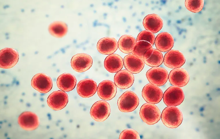 cd34干細(xì)胞提取集過(guò)程，對(duì)健康有何影響？