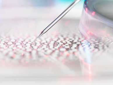 紅斑狼瘡干細(xì)胞治療原理及效果詳解？