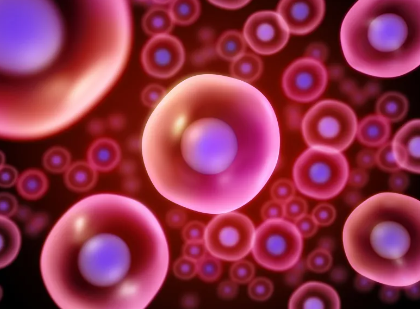 安徽干細(xì)胞培訓(xùn)機(jī)構(gòu)哪家強(qiáng)？排名及課程介紹！