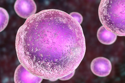 骨髓瘤干細(xì)胞提取過程圖片解析，手術(shù)難度揭秘！