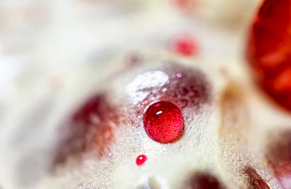 蘋果干細胞美容面膜效果如何？用戶真實反饋！