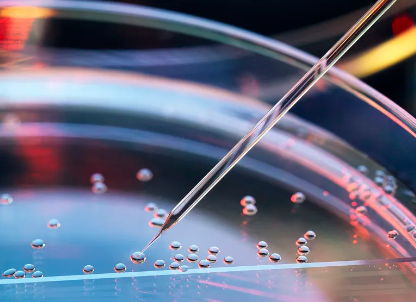 干細(xì)胞為何能抗衰老？揭秘其神奇機(jī)制！