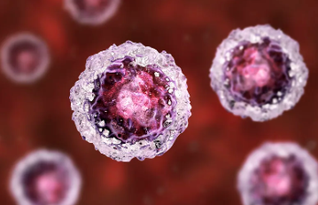 浦江人體干細(xì)胞存儲哪家可靠？安全性與服務(wù)對比！