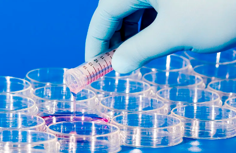 浙江湖州哪里能做干細胞移植？具體地址在哪里？