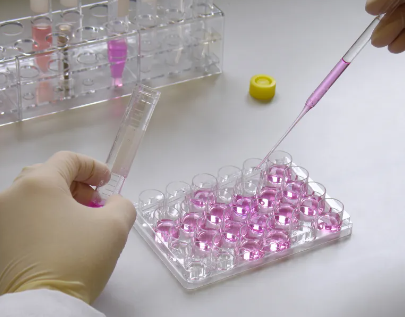 干細(xì)胞在人體內(nèi)最長能存活多久？影響因素有哪些？