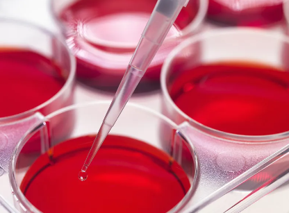 大連哪家干細胞捐贈機構最可靠？如何聯系？